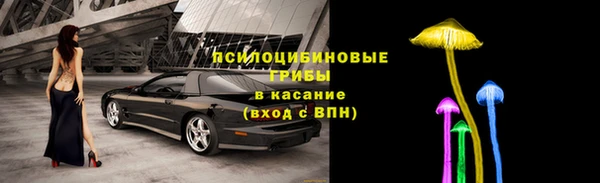твердый Семикаракорск