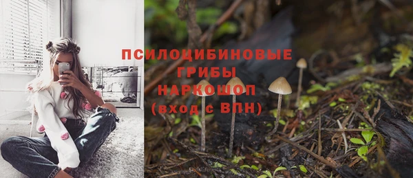 PSILOCYBIN Балабаново
